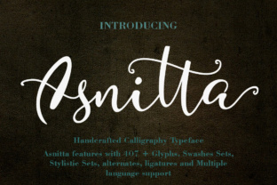 Asnitta: A Playful Script Font for Crafters