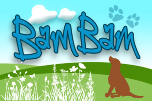 BamBam: A Playful Handwritten Font for Crafters