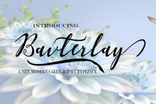 Bavterlay: A Modern Calligraphy Font for Branding