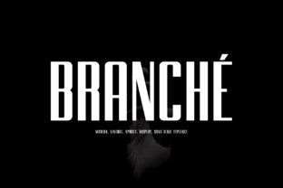 Branche: A Clean Elegant Sans Serif Display Font
