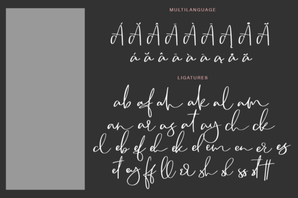 Camsay: A Fresh Handmade Calligraphy Font for Editorial Design
