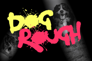 Dog Rough: A Graffiti-Inspired Font for Bold Editorial