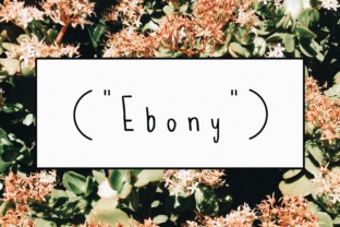 Ebony: A Messy Handwritten Font for Cute Designs