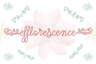 Efflorescence: The Script Font for Campaigns