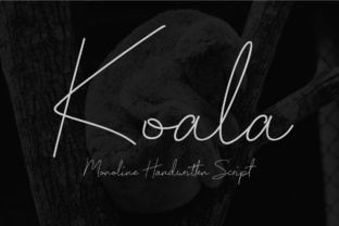 Koala Script: The Monoline Typeface for Marketers
