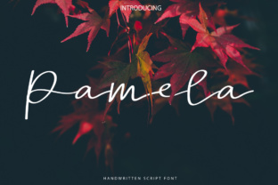 Pamela Script: The Ultimate Elegant Handwritten Font Guide
