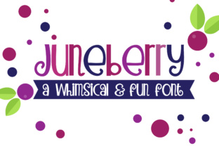 PN Juneberry: A Whimsical Script Font for Brands