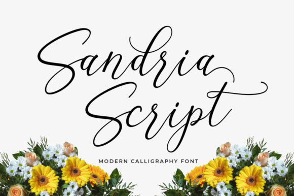Sandria Script: The Elegant Font for Modern Branding