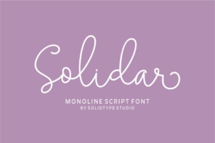 Solidar: A Modern Monoline Script Font for Editorial Design