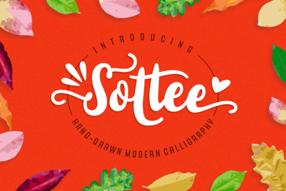 Sottee: A Modern Hand-Written Typeface Review