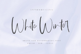 White WInter: A Premium Script Font for Web Design